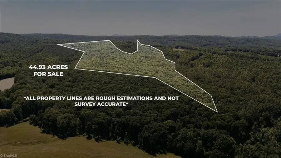 xx 44.93 Acres Stardust Trail, Mount Airy, NC 27030 - Image #3