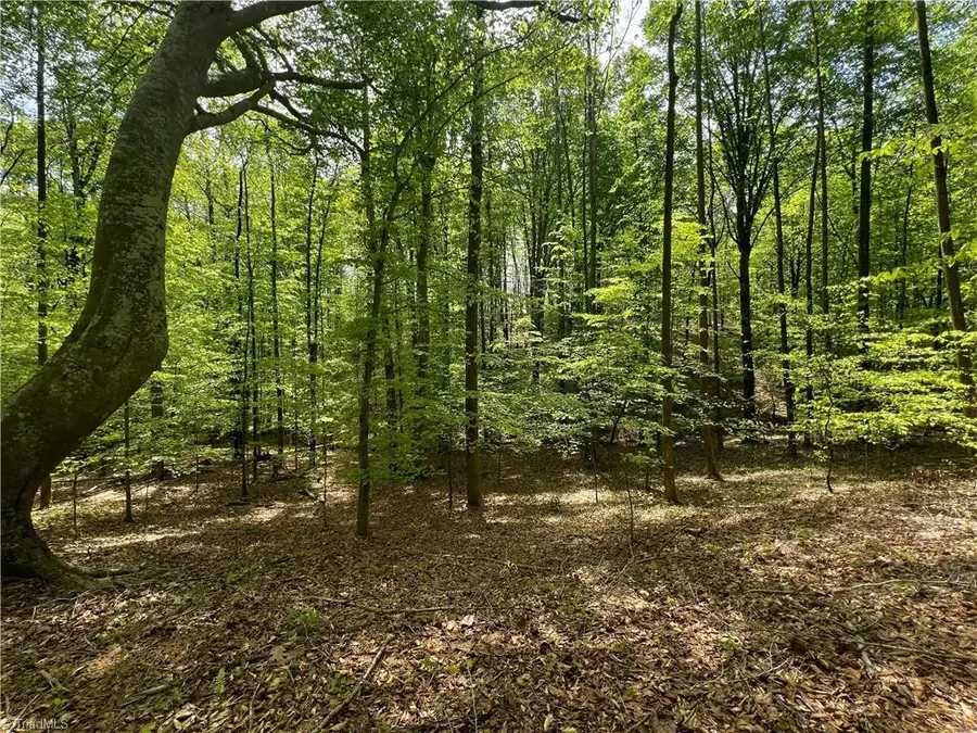 0 Pebble Brook Road, Sandy Ridge, NC 27046 - Image #2