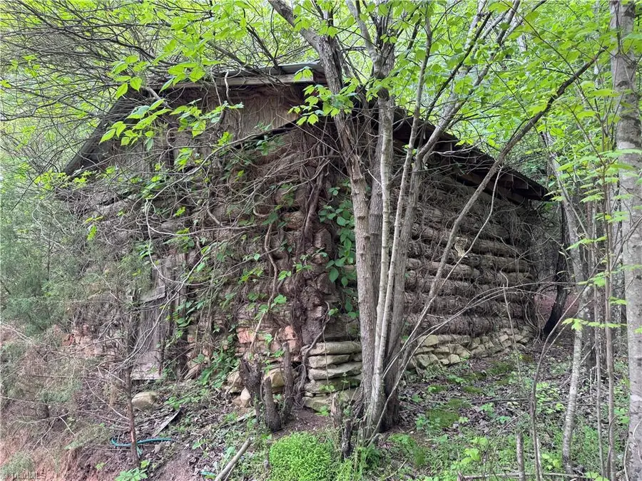 x Green Meadow Lane #5 Ac S, Ararat, NC 27007 - Image #3