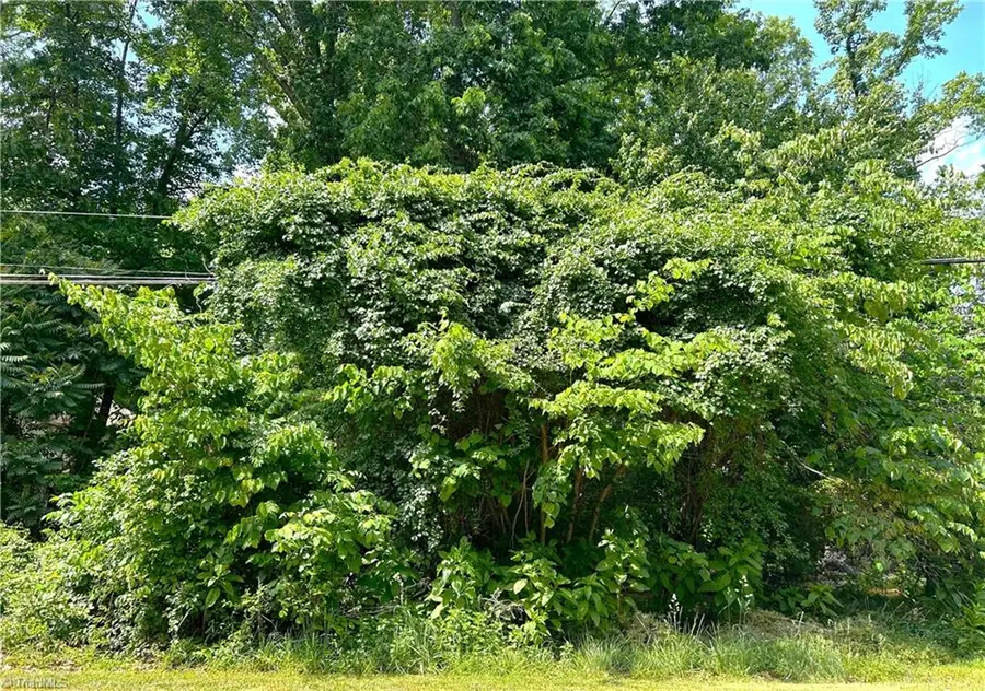 4236 Wayne Road, Greensboro, NC 27407 - Image #2