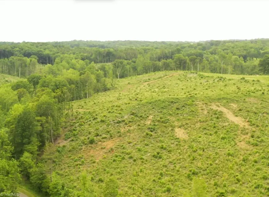 Lot 10 Skeens Mill Road, Trinity, NC 27370 - Image #3