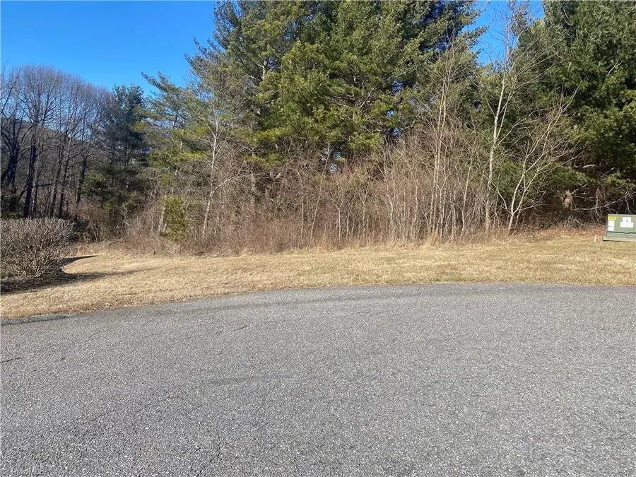 TBD Holly Hill Drive, Sparta, NC 28675 - Image #2