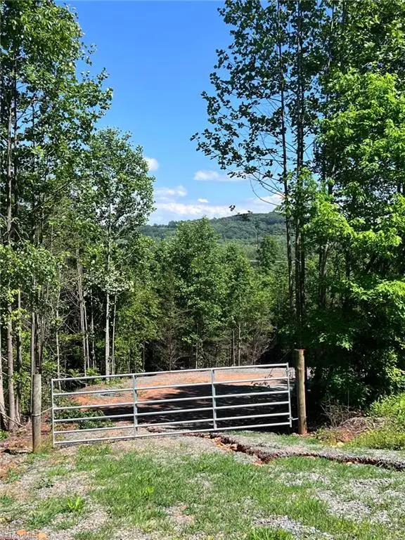 Lot 54 Billings Hill Church Road, Traphill, NC 28683 - Image #2