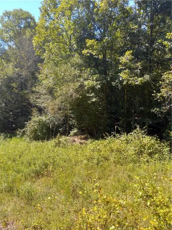TBD River Rd Liberty Grove Road, North Wilkesboro, NC 28659 - Image #3