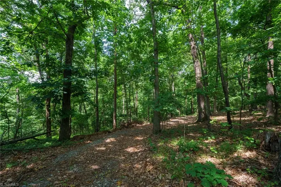 00 Hendren Road, Moravian Falls, NC 28654 - Image #2