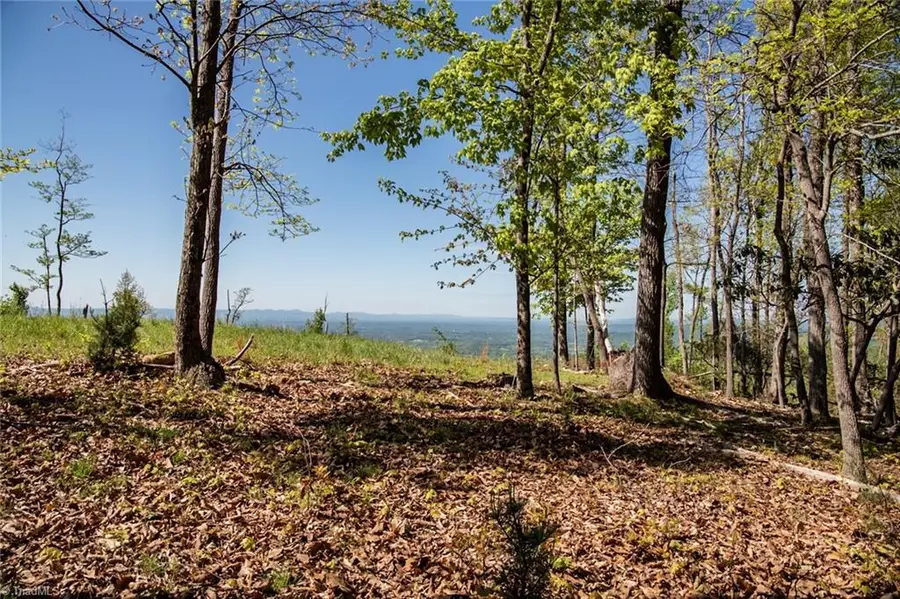 000 Swaringen Road, Traphill, NC 28685 - Image #3