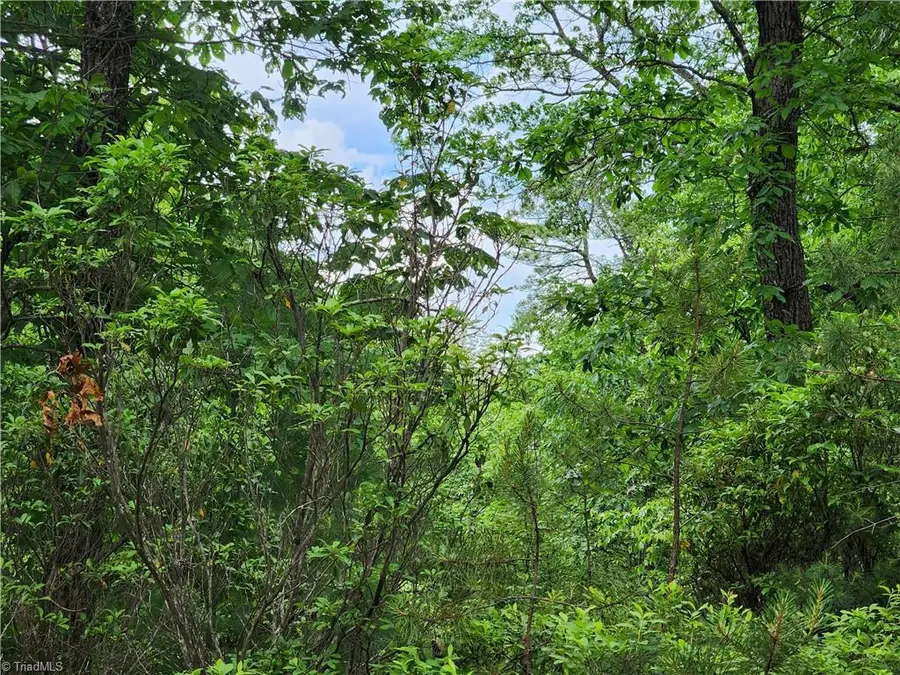 TBD Derby Chase Court, McGrady, NC 28649 - Image #3