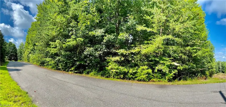 Lot 21 Rosebrier Road, Boomer, NC 28606 - Image #3