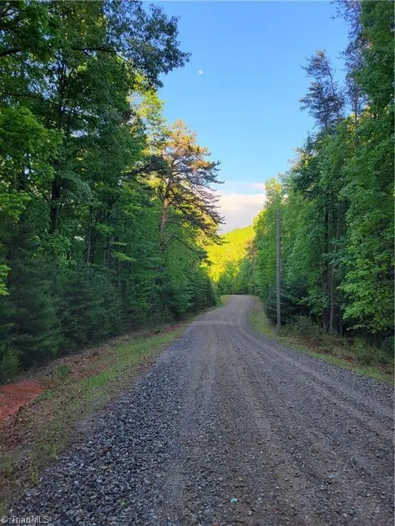 Lot 81 Sutters Ridge Road, McGrady, NC 28649