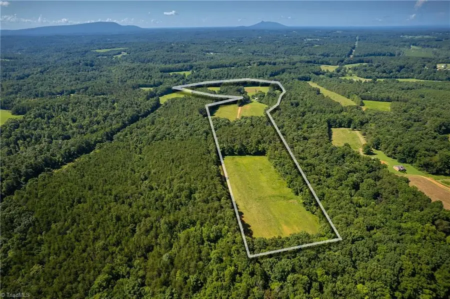 1135 Daisy Creek Farm Road, Westfield, NC 27053 - Image #2