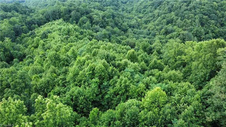 0 Balls Mill Road, North Wilkesboro, NC 28659 - Image #3