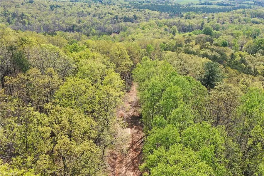 TBD Ivy Green Trail, Lowgap, NC 27024 - Image #3