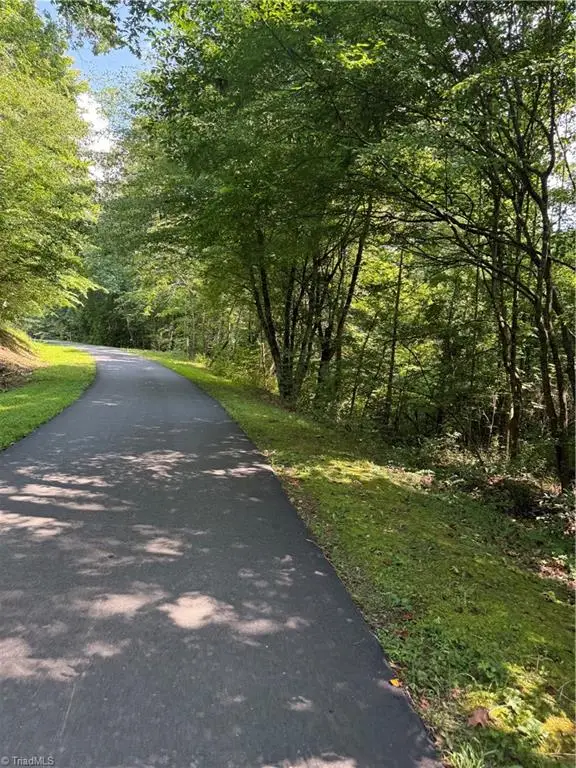 00 Cabin Cove Lane, Moravian Falls, NC 28654 - Image #1