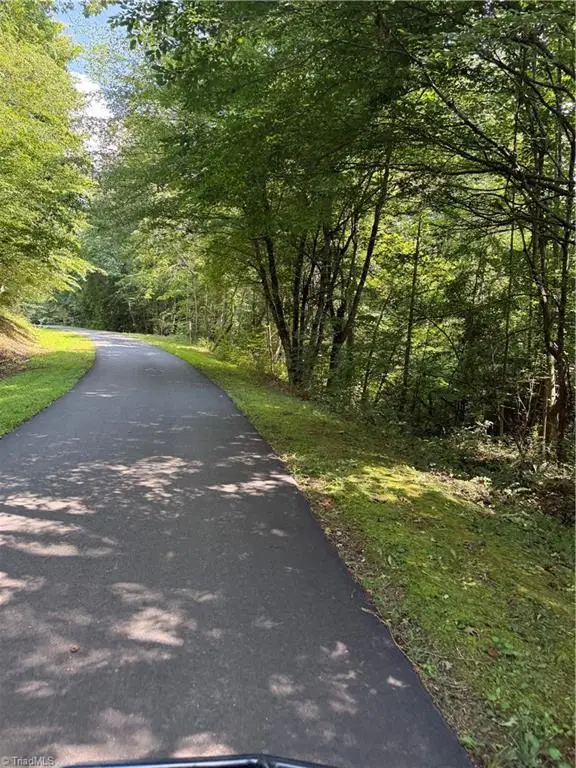 00 Cabin Cove Lane, Moravian Falls, NC 28654 - Image #2