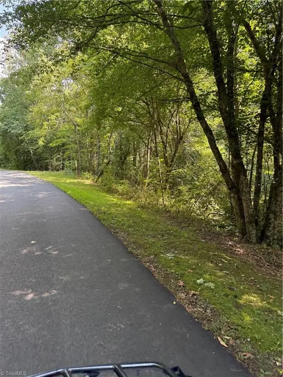 00 Cabin Cove Lane, Moravian Falls, NC 28654 - Image #3