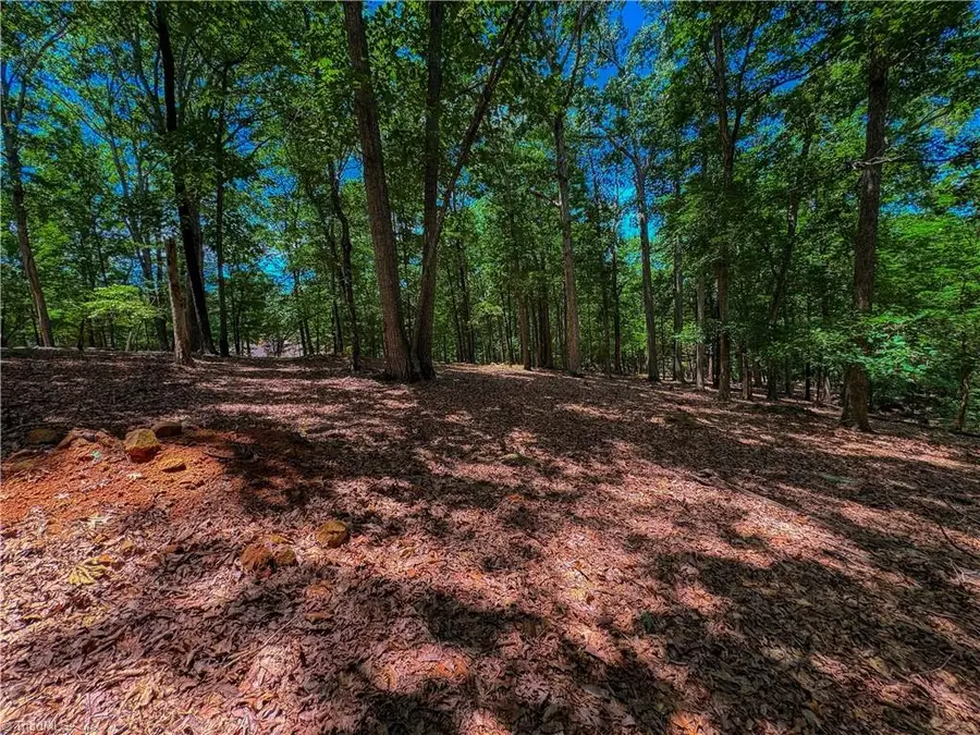 1560 Rocky Cove Lane, Denton, NC 27239 - Image #2