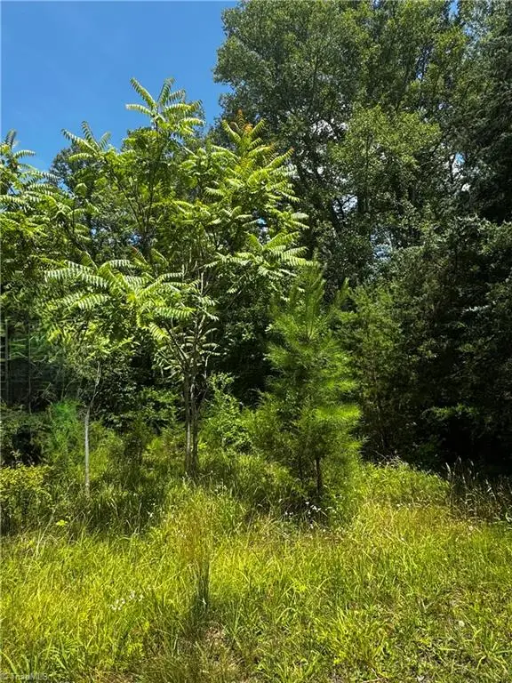 301 Pryor Road, Pelham, NC 27311 - Image #3