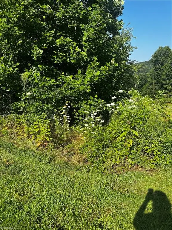 tbd W High Acres Drive, Purlear, NC 28665 - Image #2