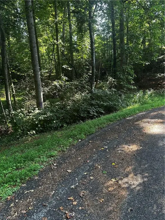 000 Walker Lane, Millers Creek, NC 28651 - Image #2