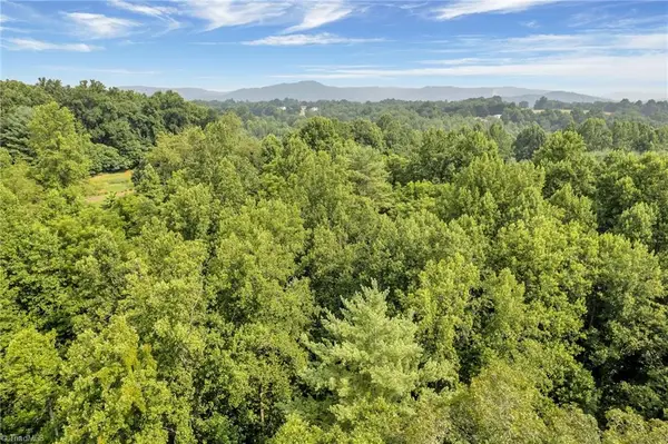 TBD Friendly Grove Church Road, Millers Creek, NC 28651