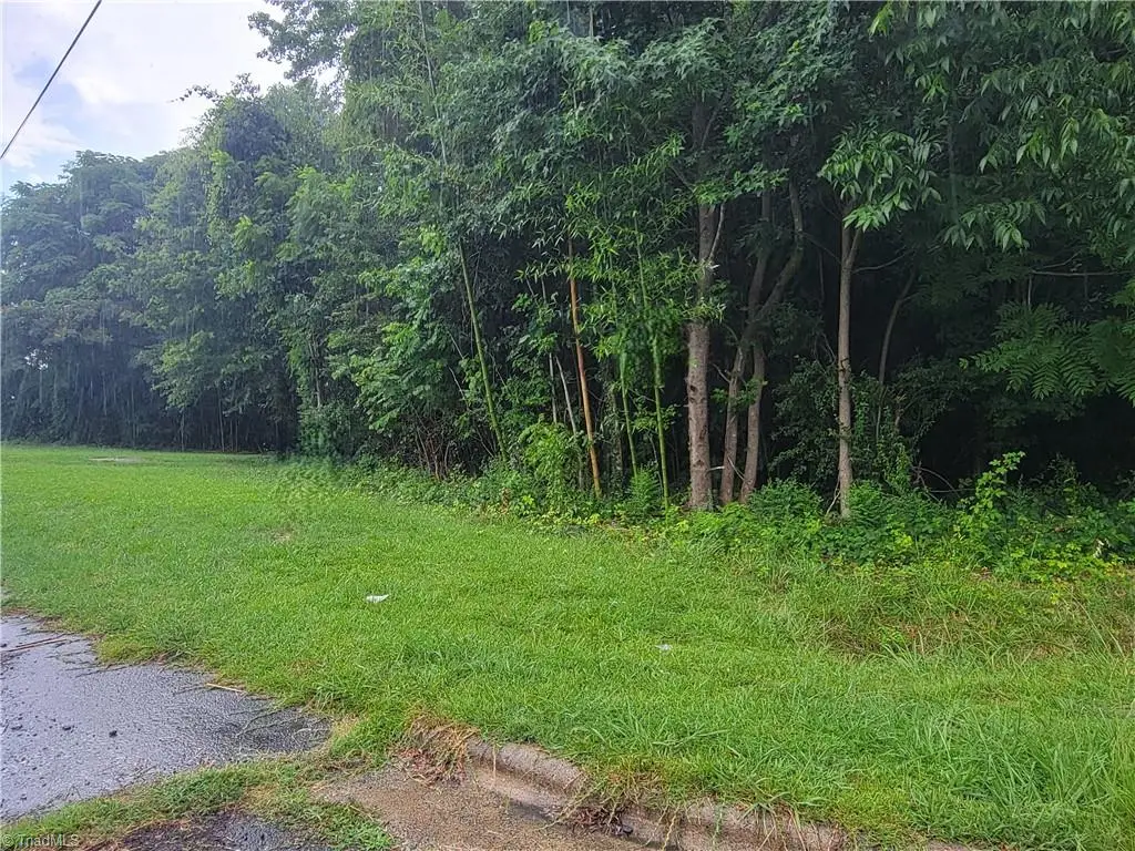 0 Brewer Street, Asheboro, NC 27203 - Image #1