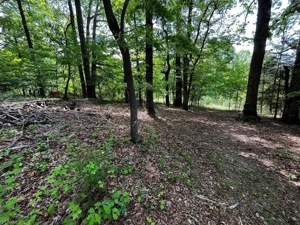 000 Virgilina Circle, Cana, VA 24317 - Image #1