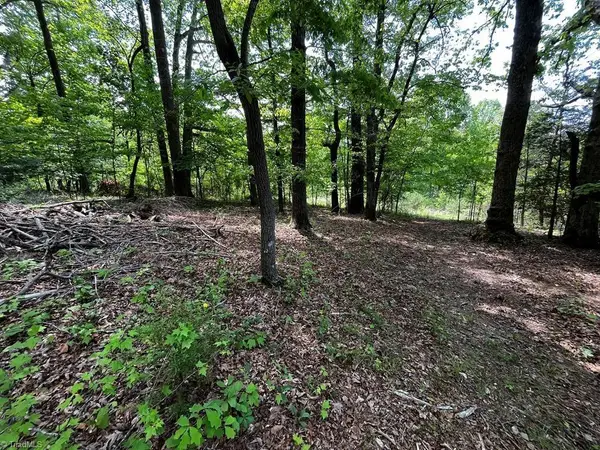 000 Virgilina Circle, Cana, VA 24317