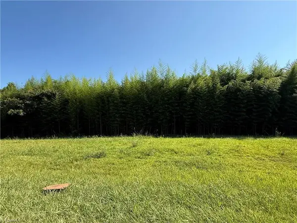 00 Us Highway 311, Sophia, NC 27350