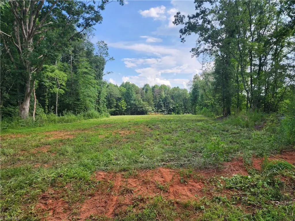 000 Shelton Road, Yadkinville, NC 27055 - #1