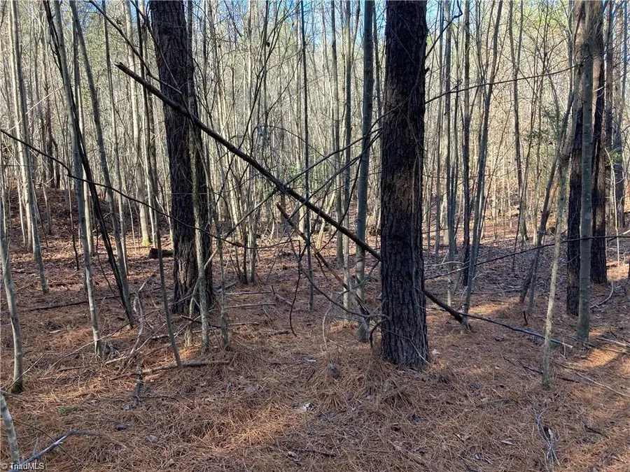 00 Nc Highway 134 N, Star, NC 27356 - Image #2