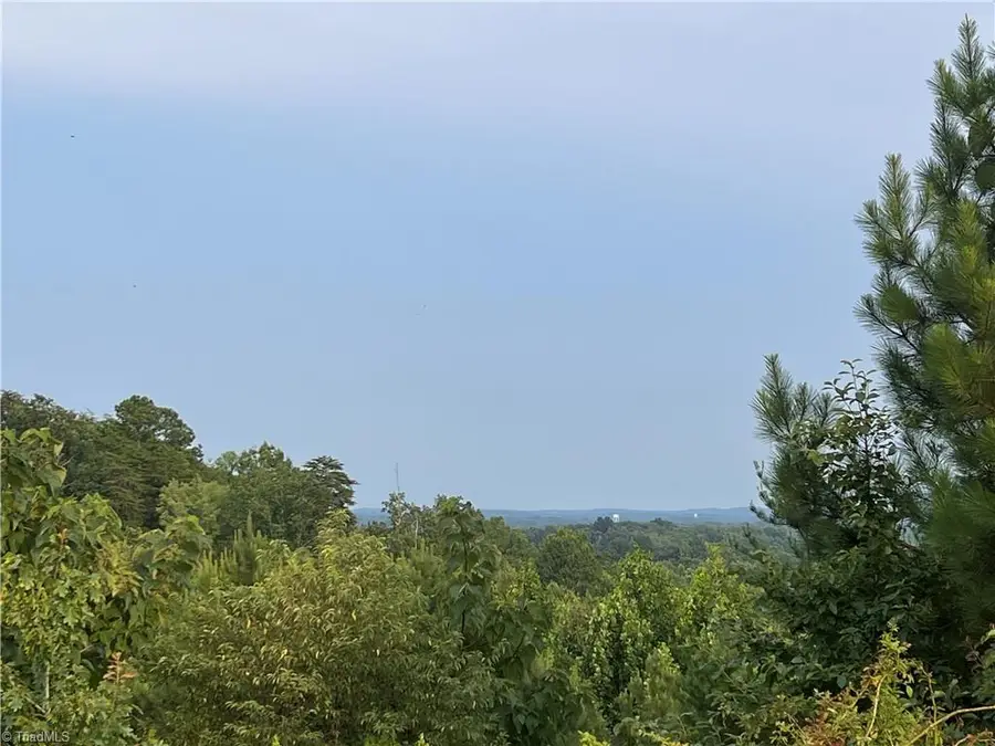 0 Cedar Forest Road, Franklinville, NC 27248 - Image #2