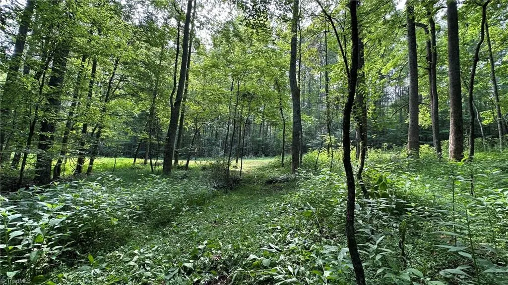 000 Bud West Road, Boomer, NC 28606 - Image #1