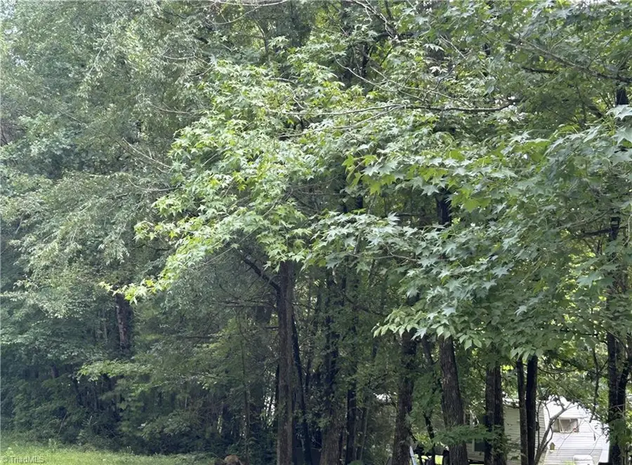 5501 Eulis Road, Liberty, NC 27298 - Image #2