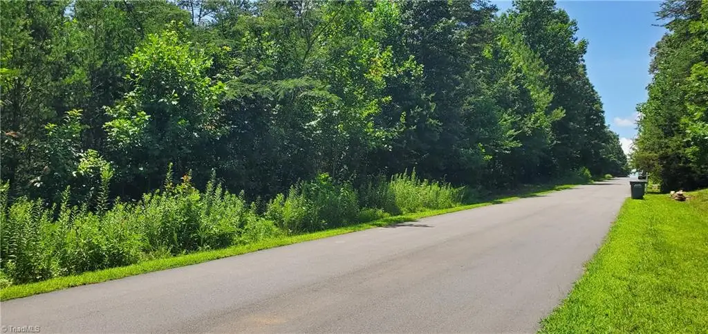 168 Valley Springs Drive, Olin, NC 28660 - #1