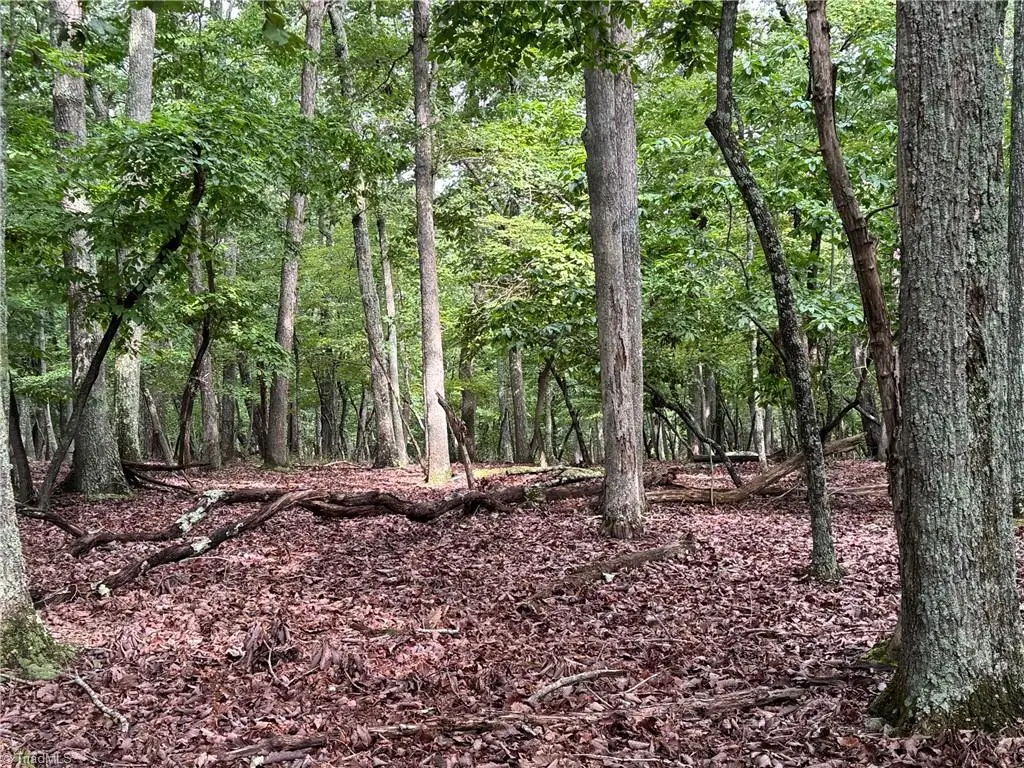 1695 Sierra Trace Road, Denton, NC 27239 - Image #1