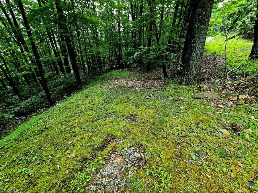 TBD Red Fox Trail, Boone, NC 28607 - Image #2