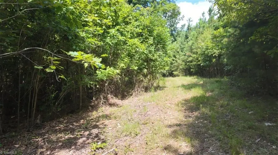 00 Mulberry Academy Street, Franklinville, NC 27248 - Image #3