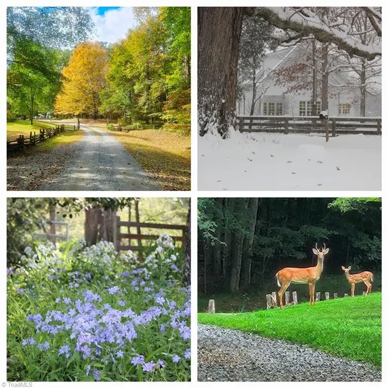 469 Justamere Farm Road, Greensboro, NC 27455 - Image #2