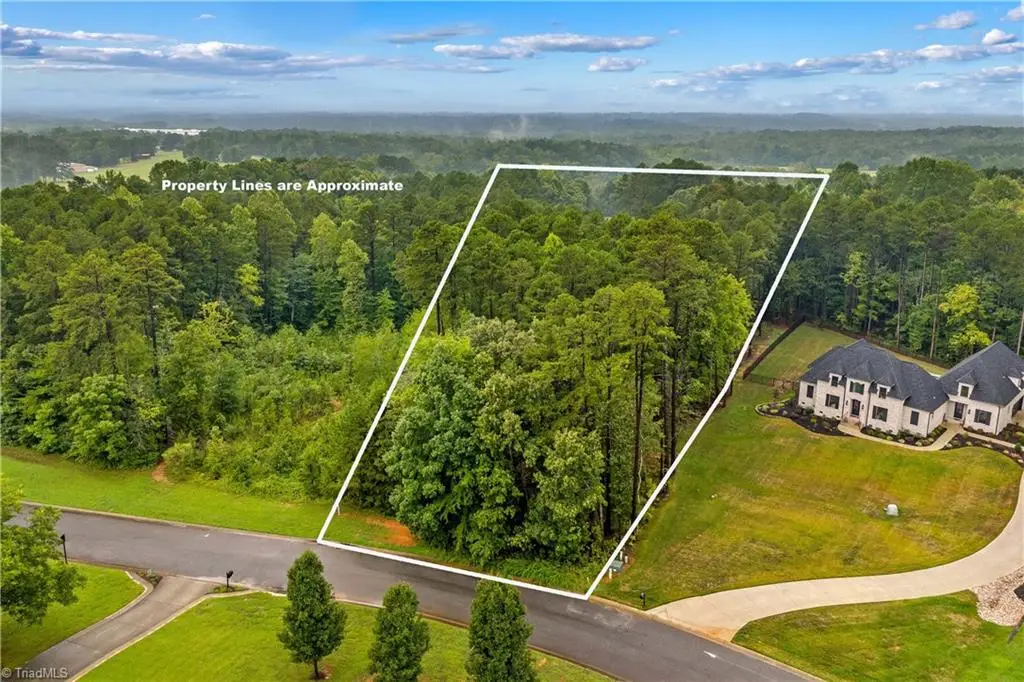 165 Wellington Estates Drive, China Grove, NC 28023 - #1