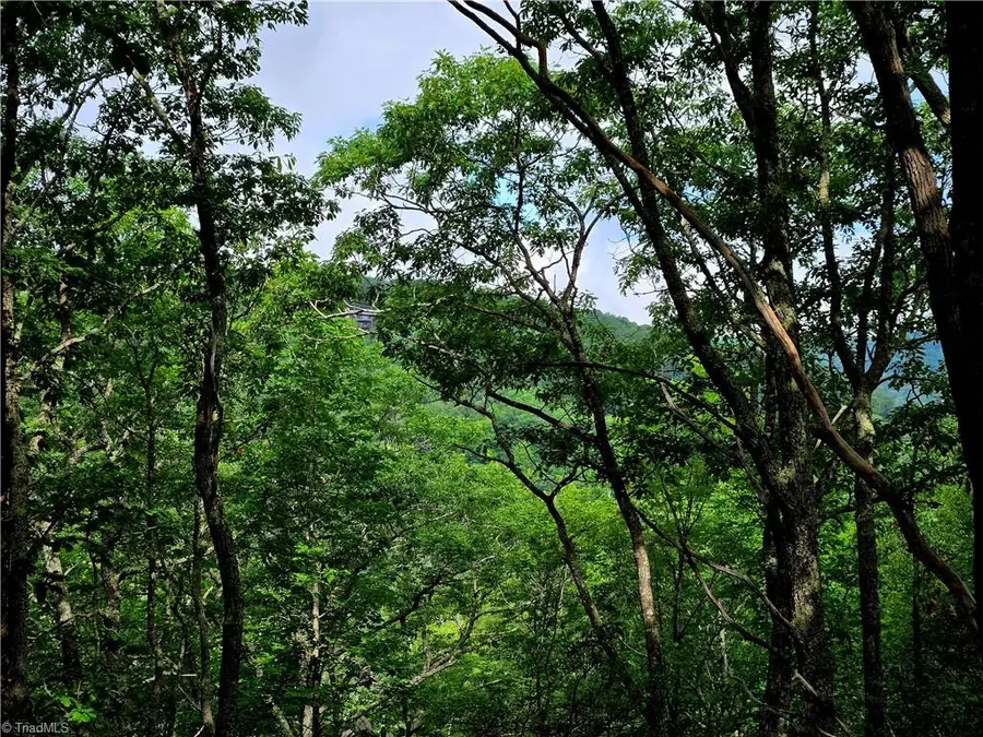 TBD Red Fox Trail, Boone, NC 28607 - Image #2