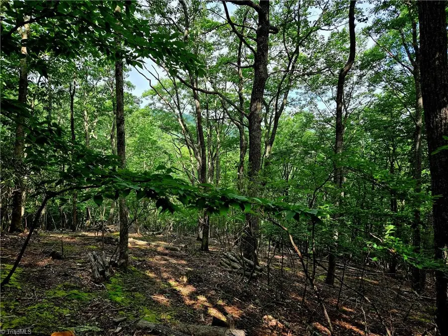 TBD Red Fox Trail, Boone, NC 28607 - Image #3