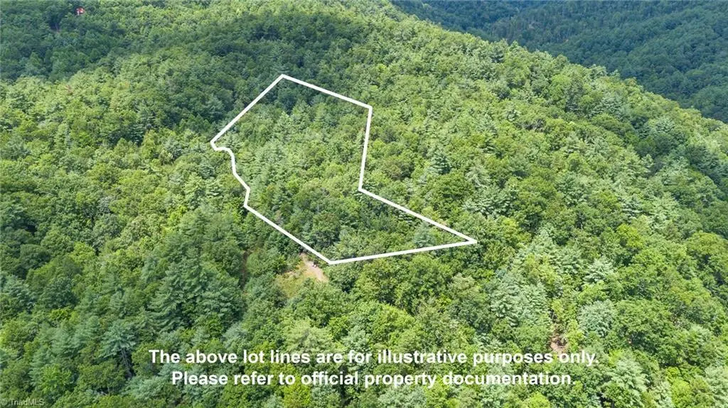 00 Clear Branch Drive, Millers Creek, NC 28651 - Image #1