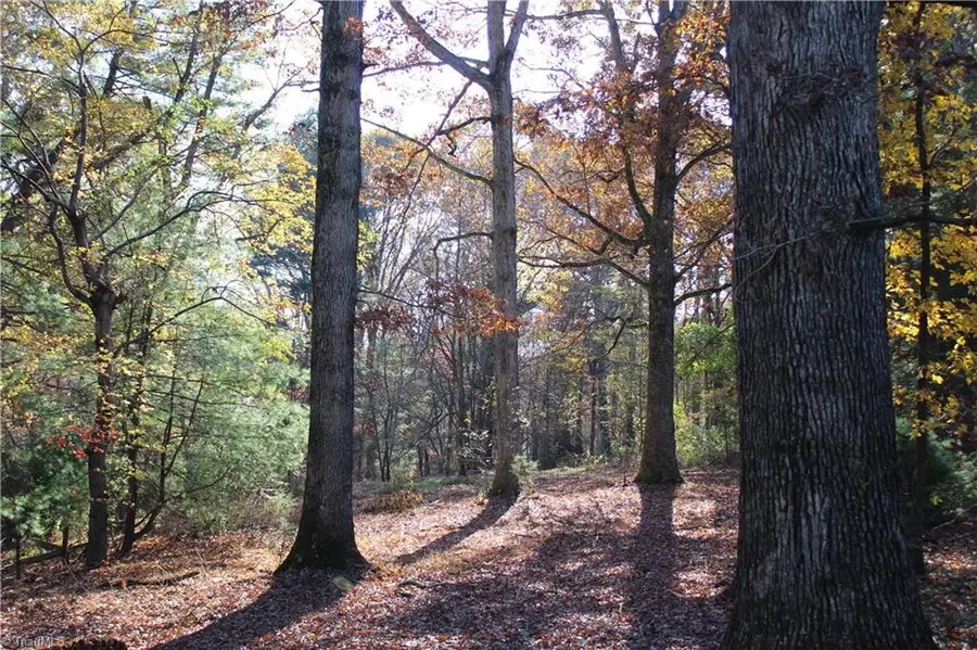 TBD Old Quarry Road, State Road, NC 28676 - Image #2