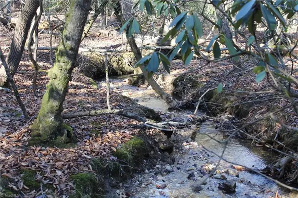 468 Sylvan Road, Thurmond, NC 28683