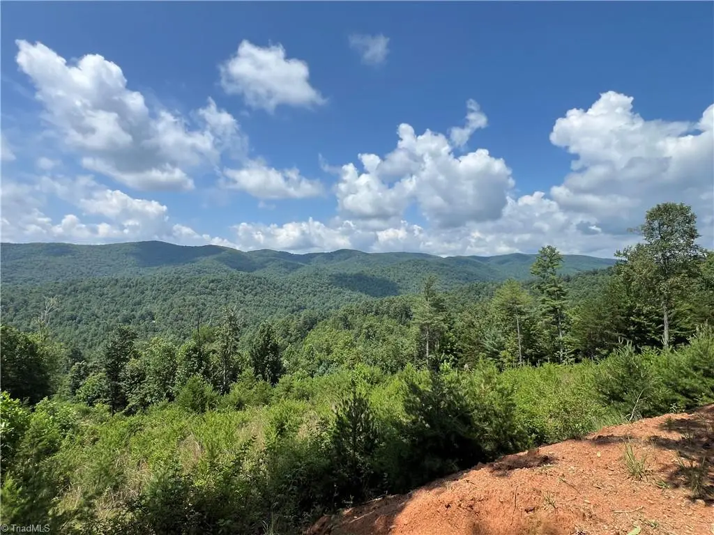 TBD Lazy Bear Lane, Purlear, NC 28665 - Image #1