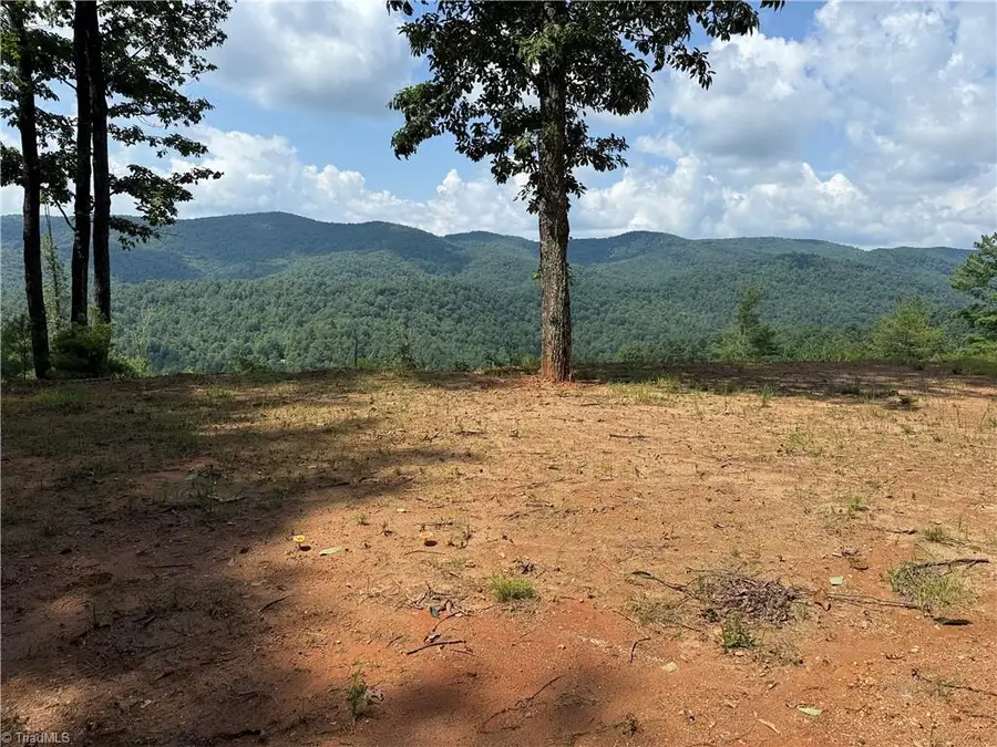 TBD Lazy Bear Lane, Purlear, NC 28665 - Image #2