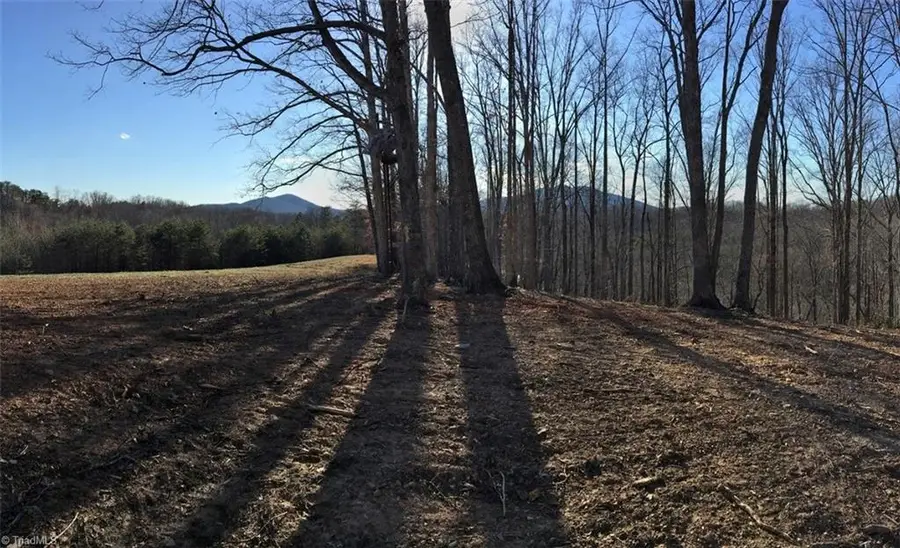 1392 Mission Road, Danbury, NC 27016 - Image #2