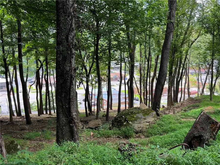 LOT D Burkett Avenue, West Jefferson, NC 28694 - Image #3