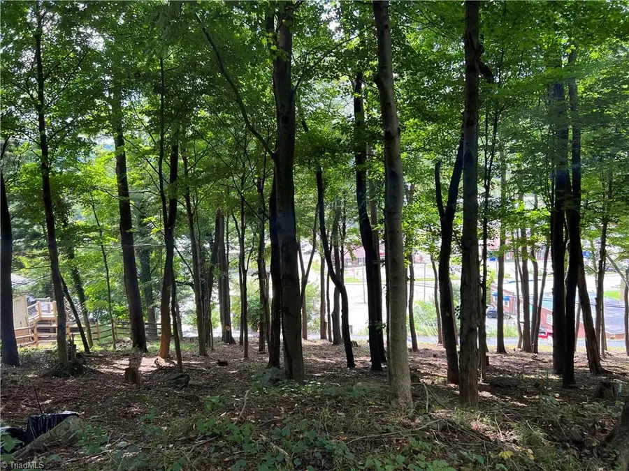 LOT E Burkett Avenue, West Jefferson, NC 28694 - Image #3