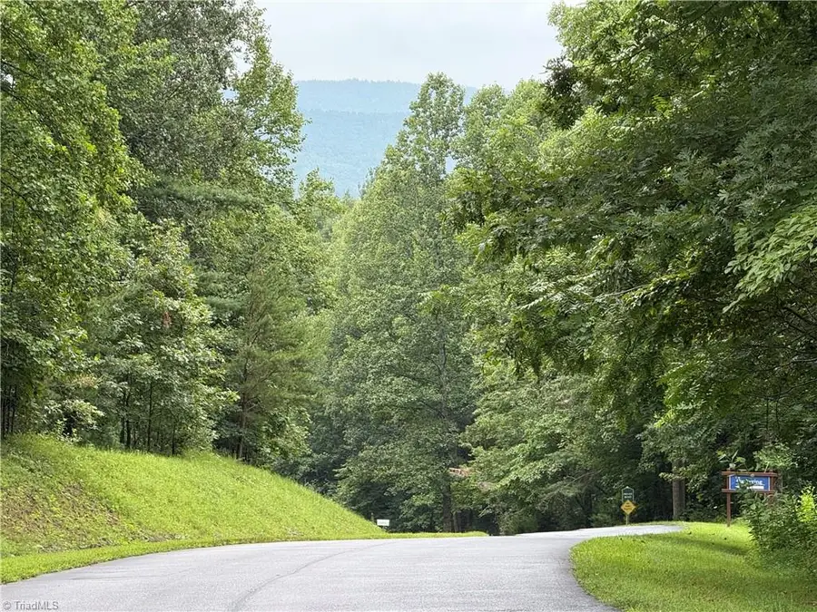 Lot 24 Zinzendorf Lane, Moravian Falls, NC 28654 - Image #2
